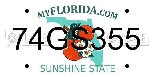 74GS355 Florida License Plate