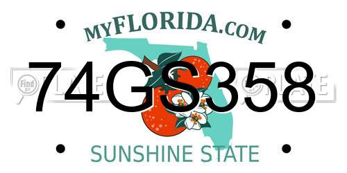 74GS358 Florida License Plate