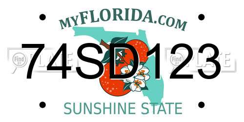 74SD123 Florida License Plate