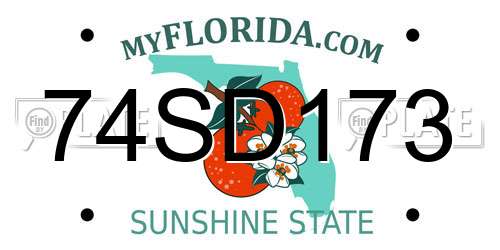 74SD173 Florida License Plate