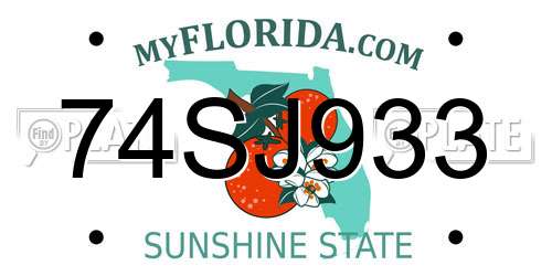 74SJ933 Florida License Plate