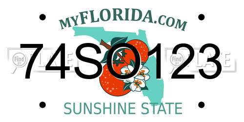 74SO123 Florida License Plate
