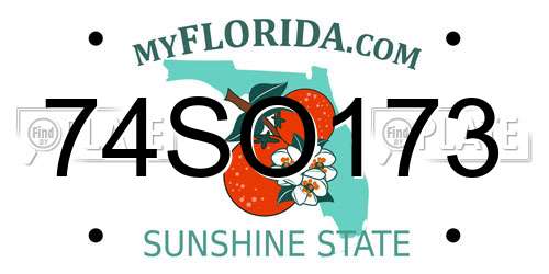 74SO173 Florida License Plate