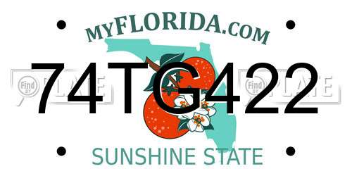 74TG422 Florida License Plate