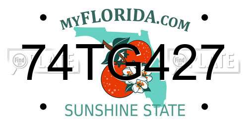 74TG427 Florida License Plate