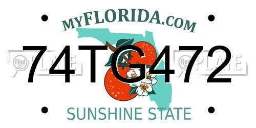74TG472 Florida License Plate