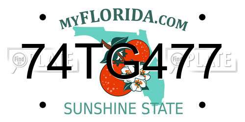 74TG477 Florida License Plate