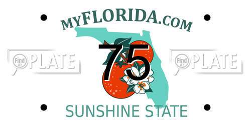 75 Florida License Plate