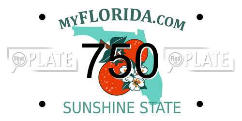 750 Florida License Plate