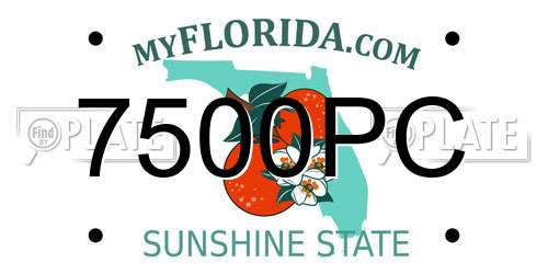 7500PC Florida License Plate