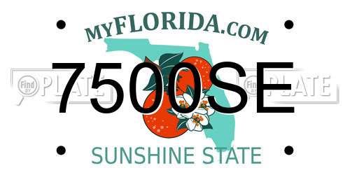 7500SE Florida License Plate