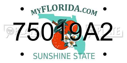 75019A2 Florida License Plate
