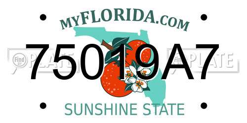 75019A7 Florida License Plate