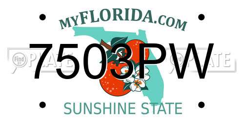 7503PW Florida License Plate
