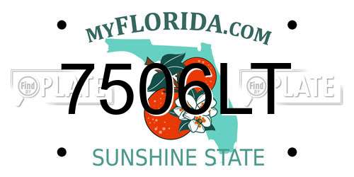 7506LT Florida License Plate