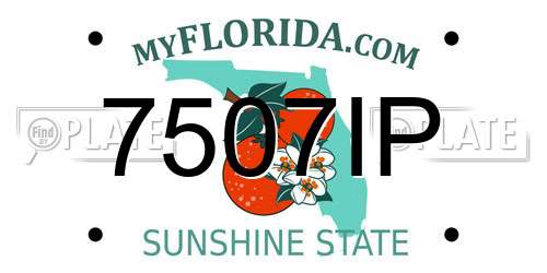 7507IP Florida License Plate