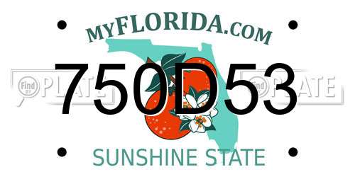 750D53 Florida License Plate