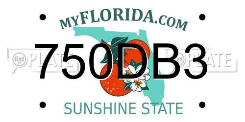 750DB3 Florida License Plate