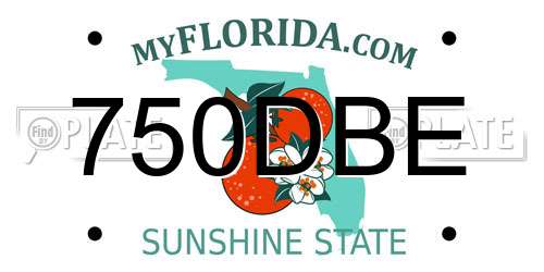 750DBE Florida License Plate