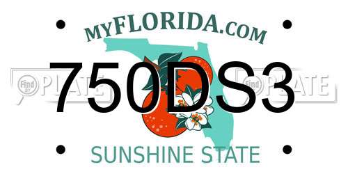 750DS3 Florida License Plate