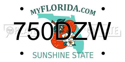 750DZW Florida License Plate