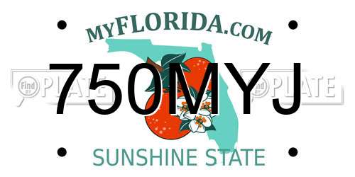 750MYJ Florida License Plate