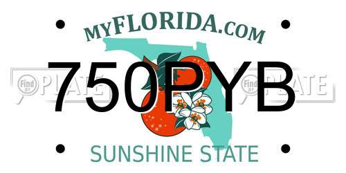 750PYB Florida License Plate