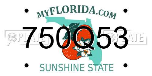 750Q53 Florida License Plate