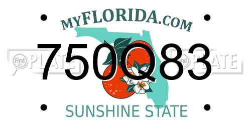 750Q83 Florida License Plate