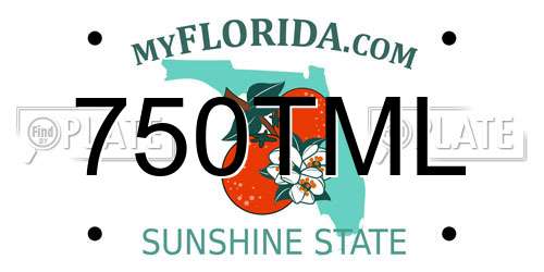 750TML Florida License Plate