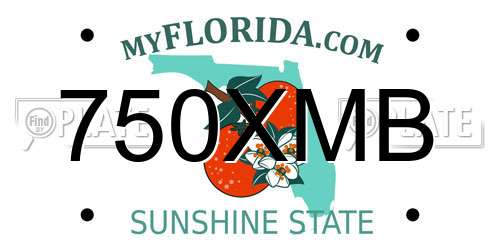 750XMB Florida License Plate