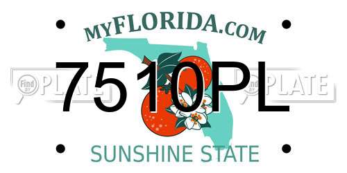 7510PL Florida License Plate