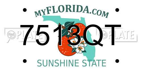 7513QT Florida License Plate