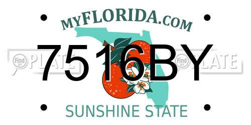 7516BY Florida License Plate