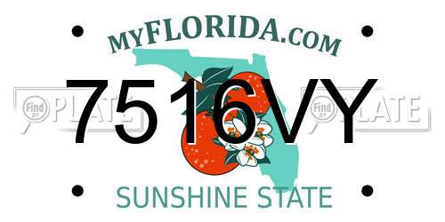 7516VY Florida License Plate