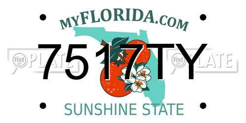 7517TY Florida License Plate