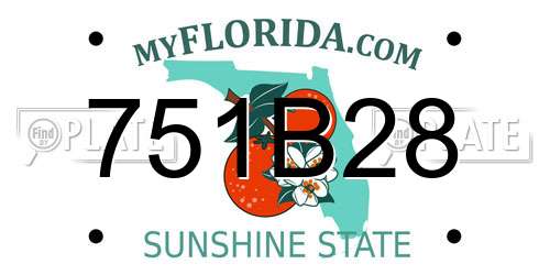 751B28 Florida License Plate