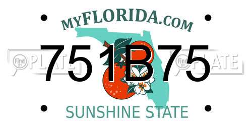 751B75 Florida License Plate
