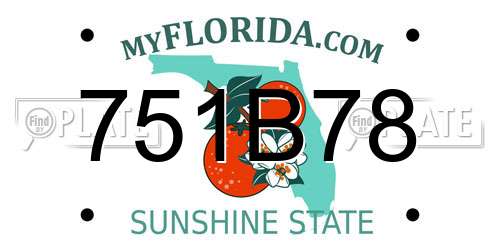 751B78 Florida License Plate