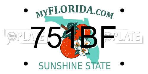 751BF Florida License Plate