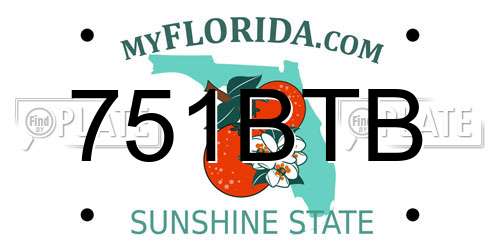 751BTB Florida License Plate