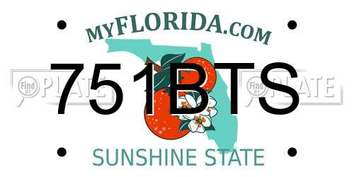 751BTS Florida License Plate