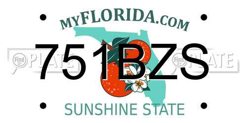 751BZS Florida License Plate