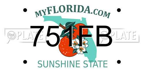 751FB Florida License Plate