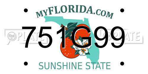 751G99 Florida License Plate