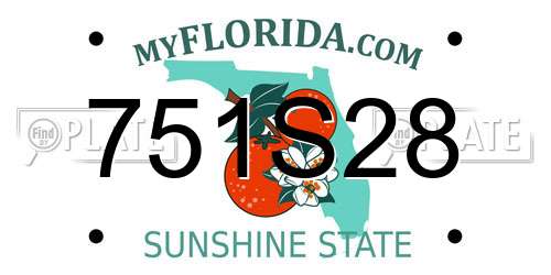 751S28 Florida License Plate