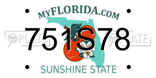 751S78 Florida License Plate