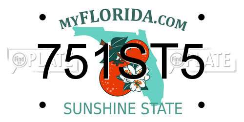 751ST5 Florida License Plate