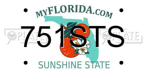 751STS Florida License Plate