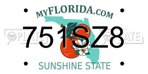 751SZ8 Florida License Plate
